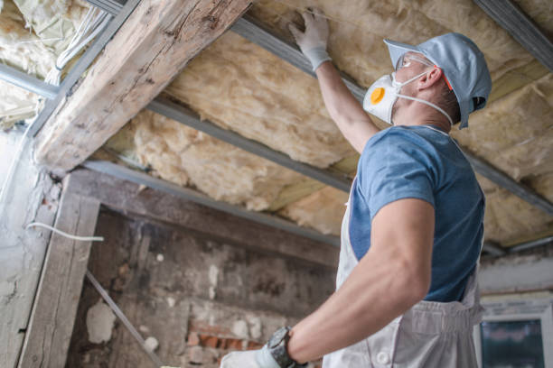 Best Commercial Insulation in Crestwood, MO