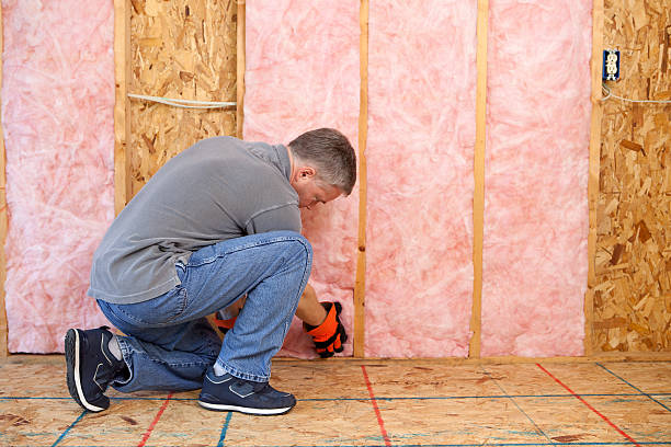 Best Specialized Insulation Services in Crestwood, MO