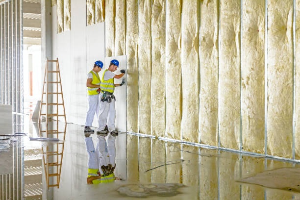 Best DIY Insulation Kits and Guidance in Crestwood, MO